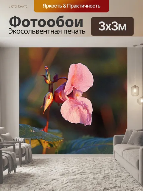 Фотообои Лес