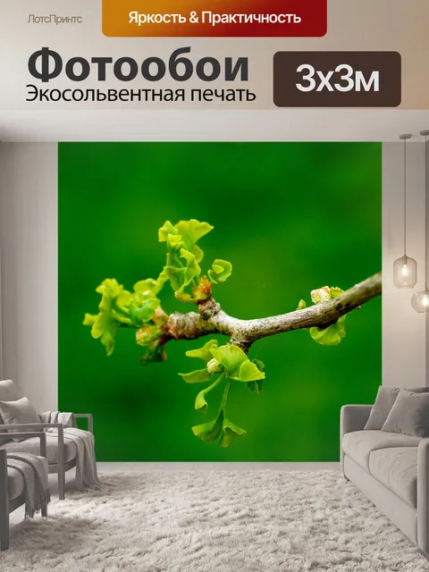Фотообои Гинкго