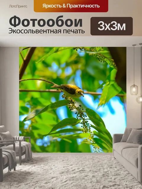 Фотообои Птицы
