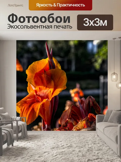 Фотообои Оранжевый цвет фонаря гладиолуса