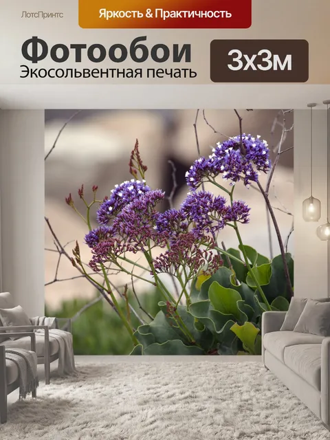 Фотообои Фиолетовые цветы