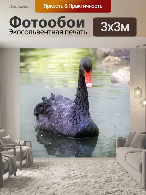 Фотообои Птица
