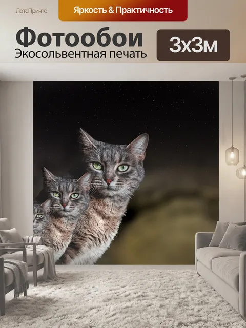 Фотообои Кошки