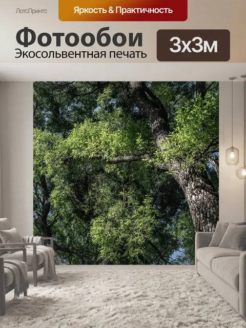 Фотообои Деревья