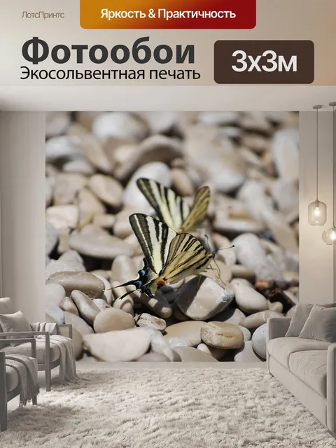 Фотообои Бабочка