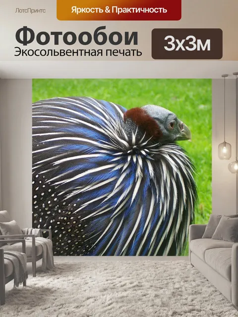 Фотообои Гриф