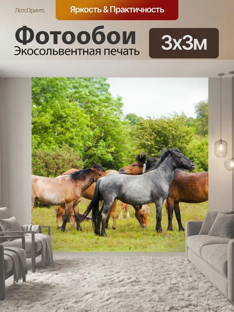 Фотообои Стадо диких лошадей