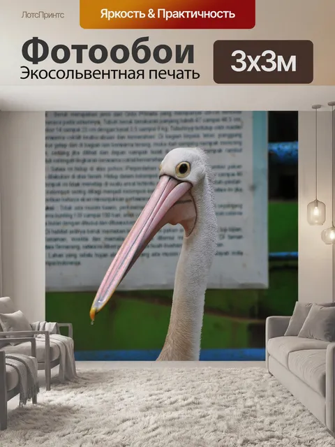 Фотообои Птица