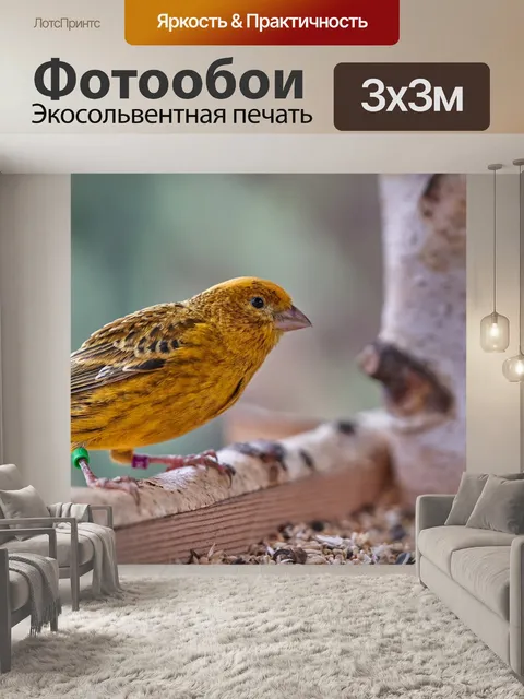 Фотообои Птица