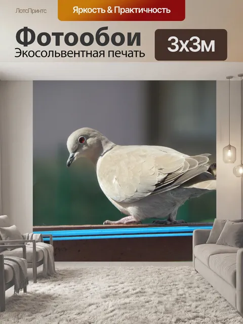 Фотообои Птица