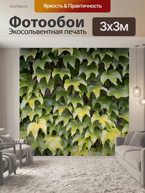 Фотообои Листья