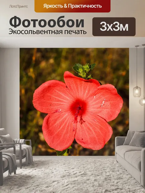 Фотообои Трава цветочное поле, полевые цветы