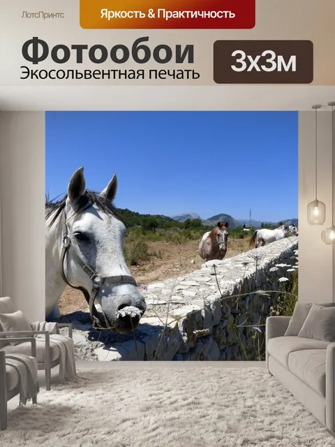 Фотообои Лошади