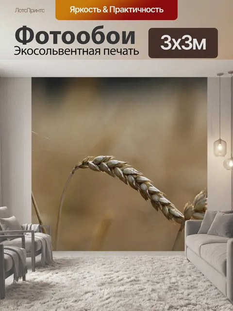 Фотообои Кукурузное поле