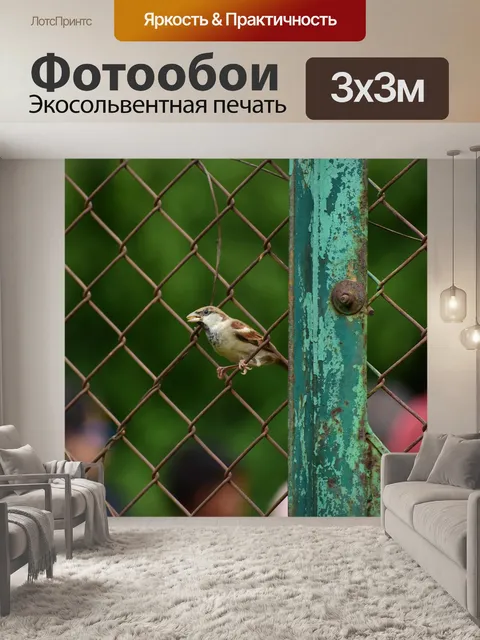 Фотообои Воробей