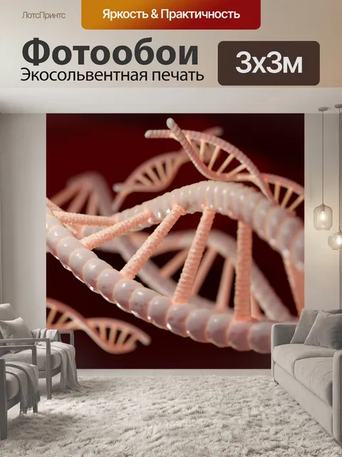 Фотообои Dns