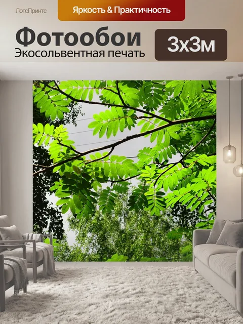 Фотообои Рябина