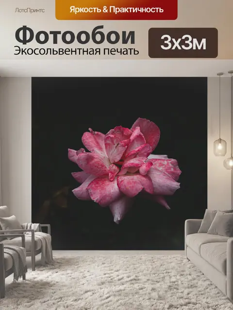 Фотообои Розовый