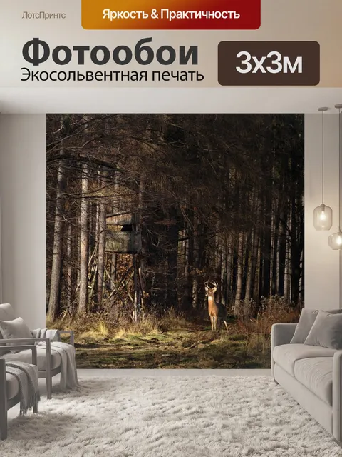 Фотообои Лес