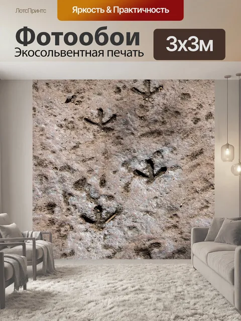 Фотообои Следы птиц