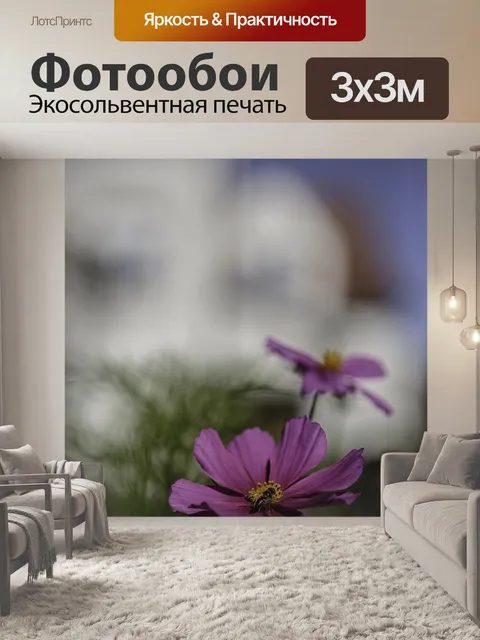 Фотообои Цюрих
