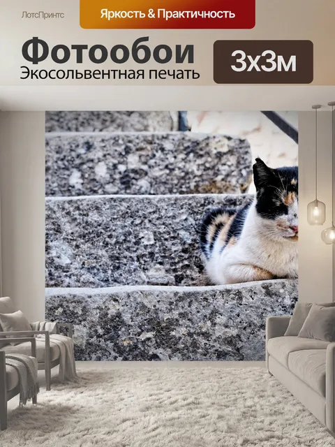 Фотообои Кот