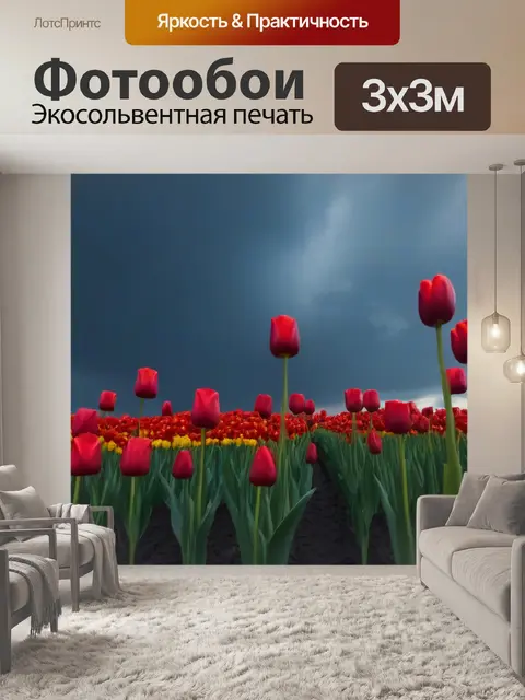 Фотообои тюльпаны на фоне пасмурного небес