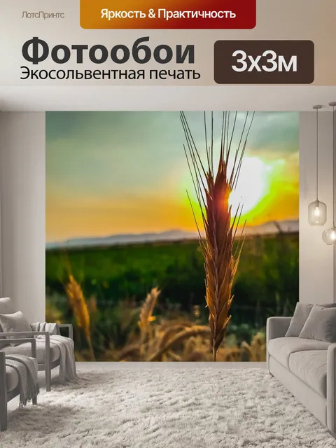 Фотообои Солнце