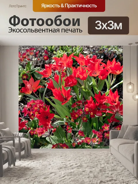 Фотообои Цветы