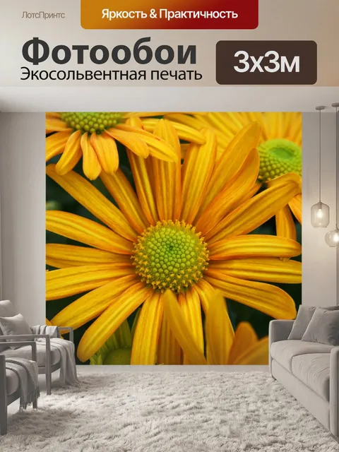Фотообои Расцветает