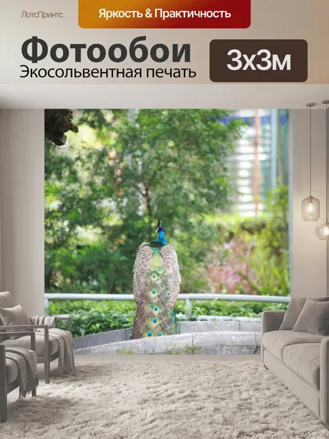 Фотообои Павлин
