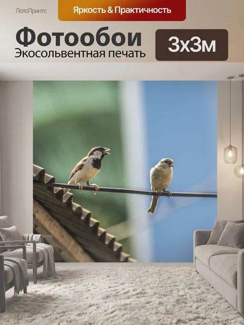 Фотообои Маленький