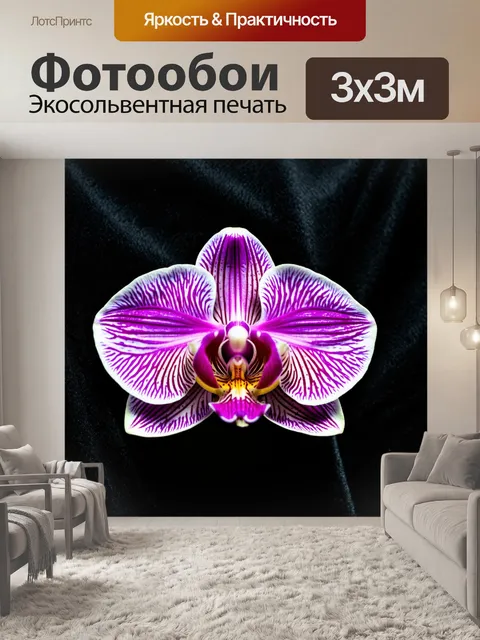 Фотообои бутон орхидеи, детализированный до мельчайших деталей, с насыщенными цветами на фоне черного бархата