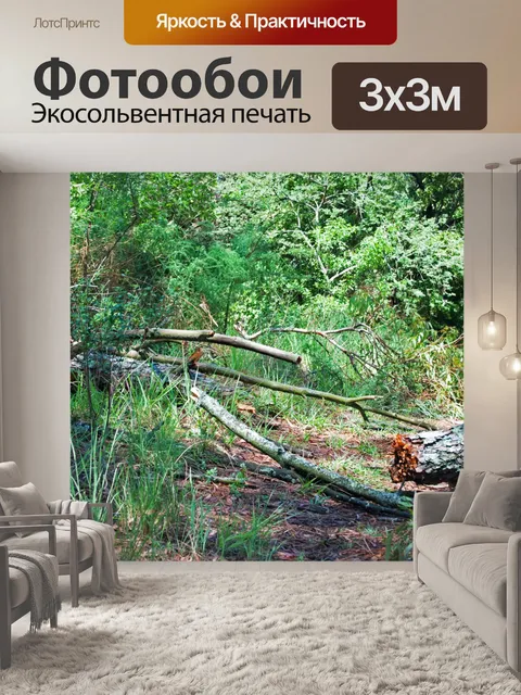 Фотообои сломаны упавшее дерево