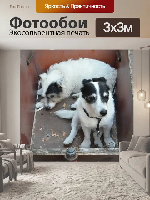 Фотообои Собаки