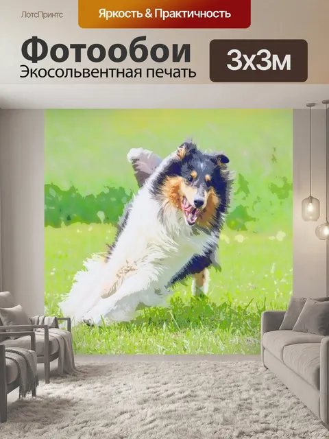 Фотообои Собака Бордер колли Живопись