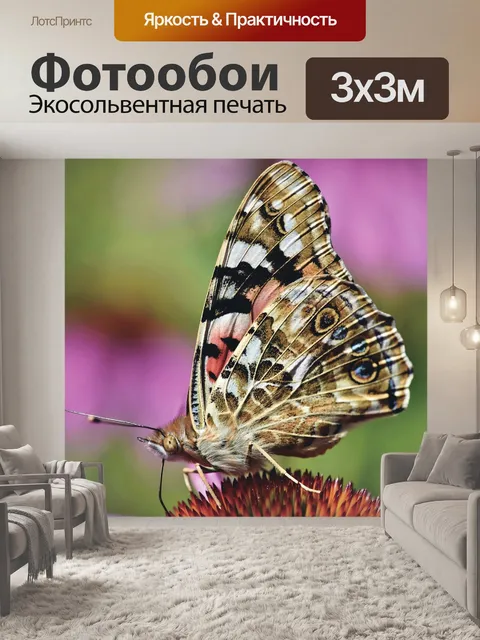 Фотообои Бабочка