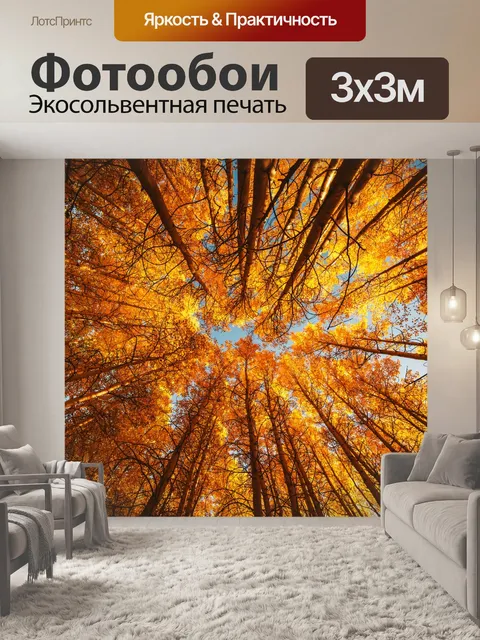Фотообои Деревья Осенний вид навесов