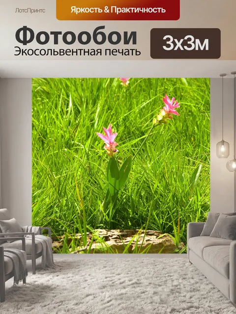 Фотообои Сиам тюльпан цветок Па Хин Нгам
