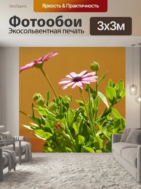 Фотообои Цветы