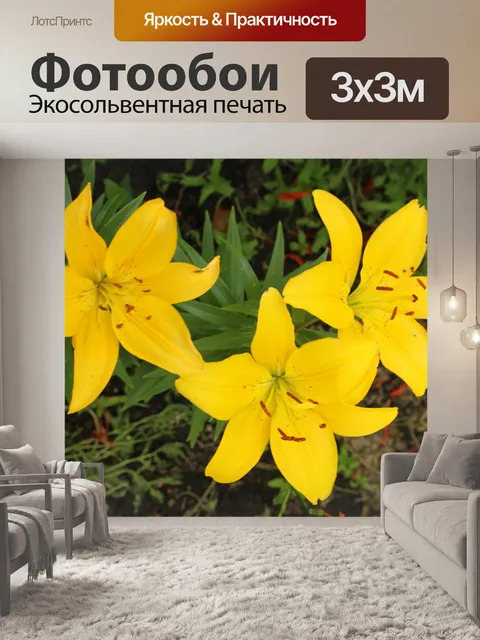 Фотообои Желтый цветы лилии