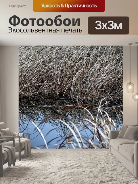 Фотообои Болотная трава