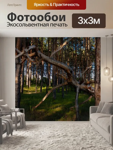 Фотообои Лес
