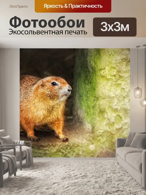 Фотообои Животное