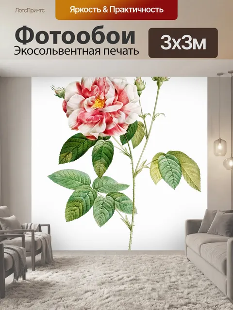 Фотообои Цветочный цветок старинное искусство