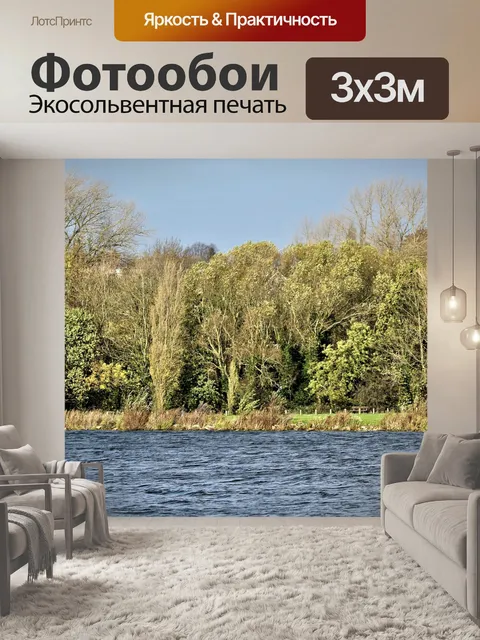 Фотообои Деревья