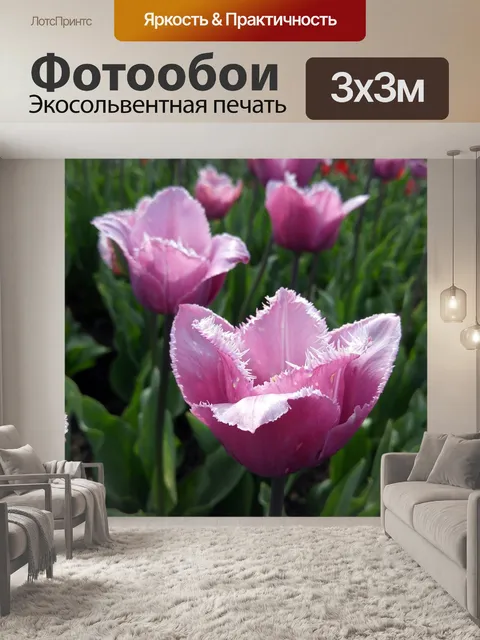 Фотообои Цветы