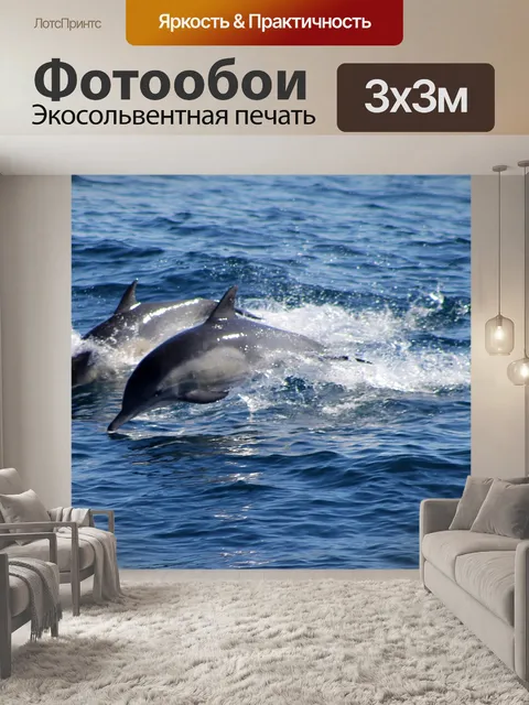 Фотообои Дельфины