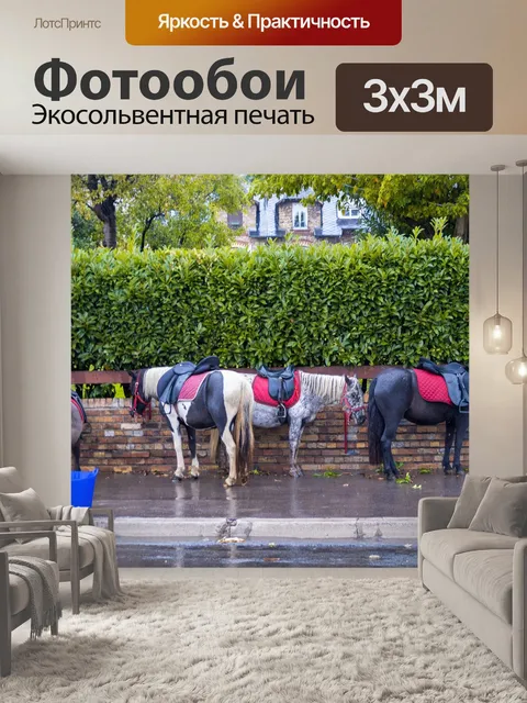 Фотообои Лошадь