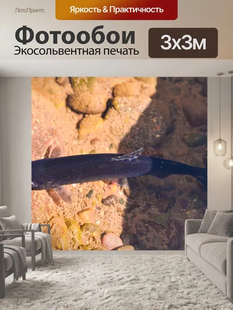Фотообои Река